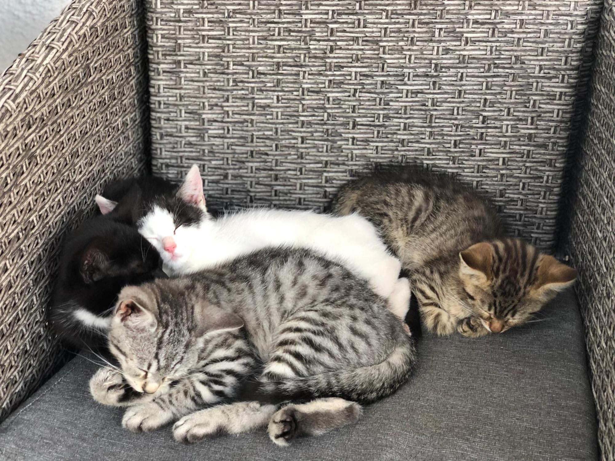 フラッハウLaubichlhofアパートメント エクステリア 写真